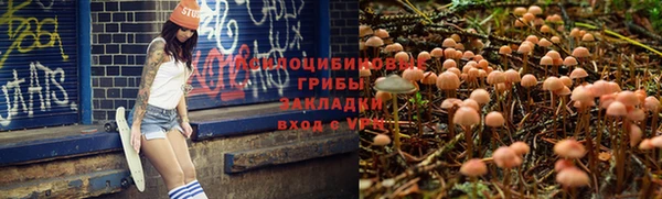 тгк Медвежьегорск