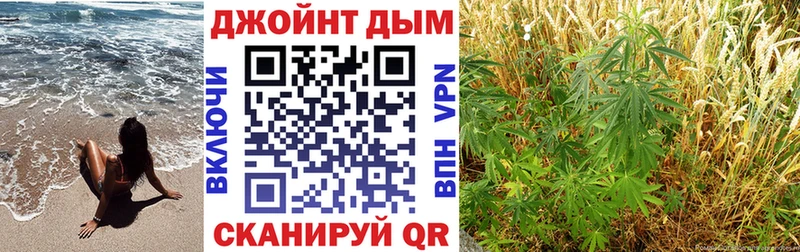 Бошки Шишки SATIVA & INDICA  Красный Холм 